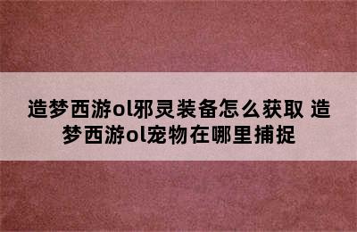 造梦西游ol邪灵装备怎么获取 造梦西游ol宠物在哪里捕捉